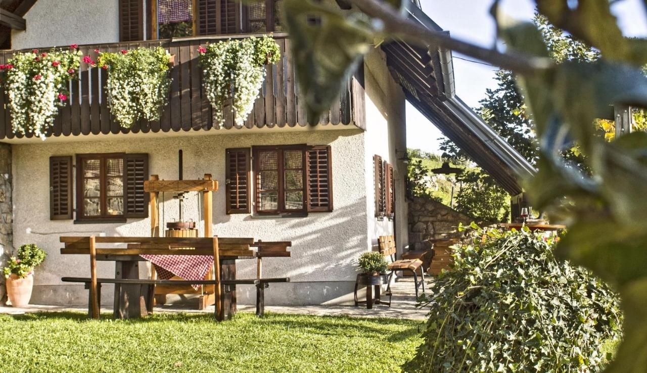 Vineyard Cottage Podrzaj Оточец Экстерьер фото