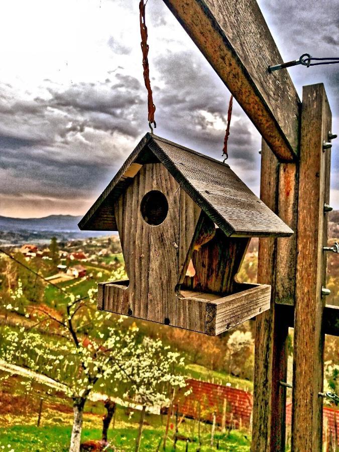 Vineyard Cottage Podrzaj Оточец Экстерьер фото